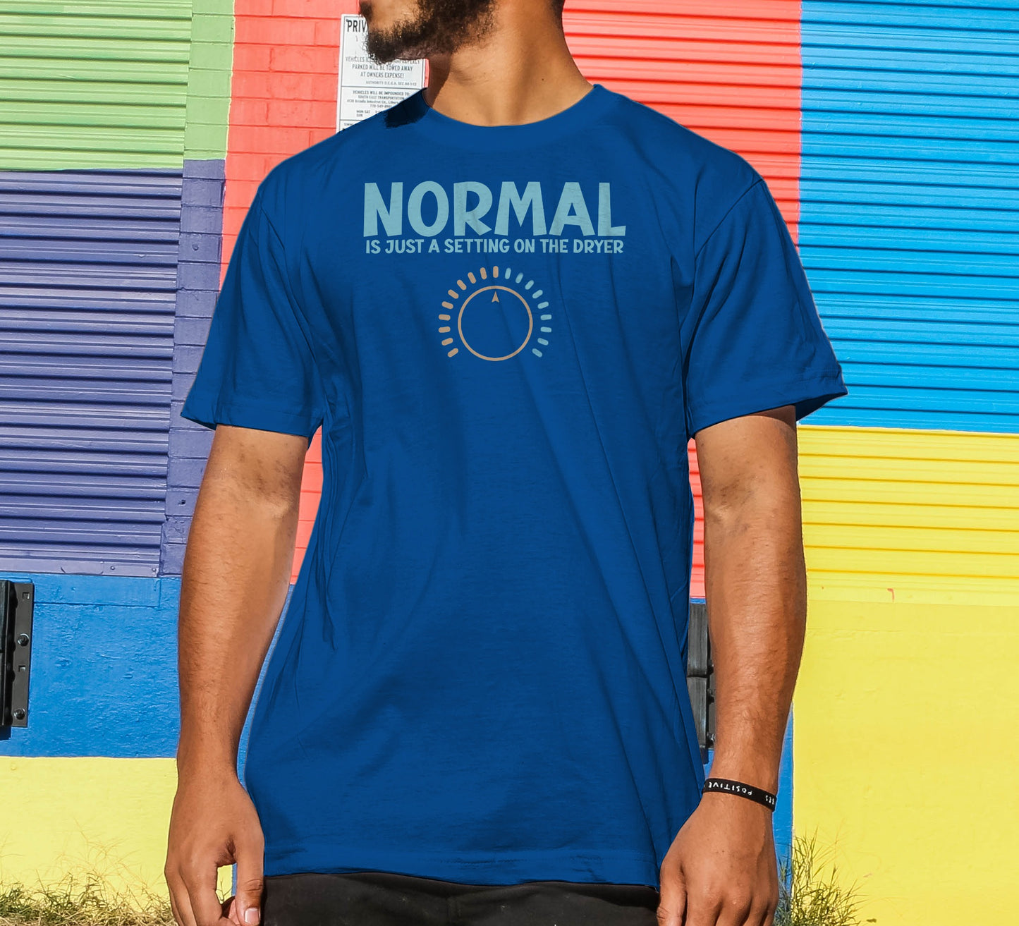 Normal is Just a Setting on the Dryer T-Shirt