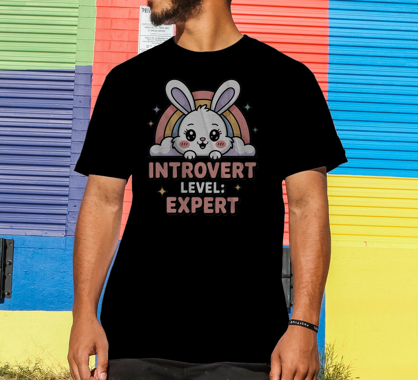 Introvert Level Expert T-Shirt