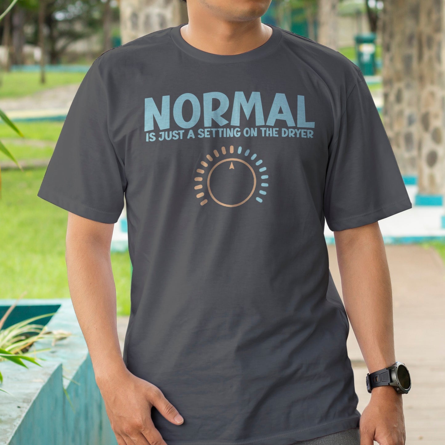 Normal is Just a Setting on the Dryer T-Shirt