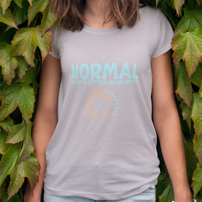 Normal is Just a Setting on the Dryer T-Shirt