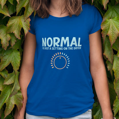 Normal is Just a Setting on the Dryer T-Shirt