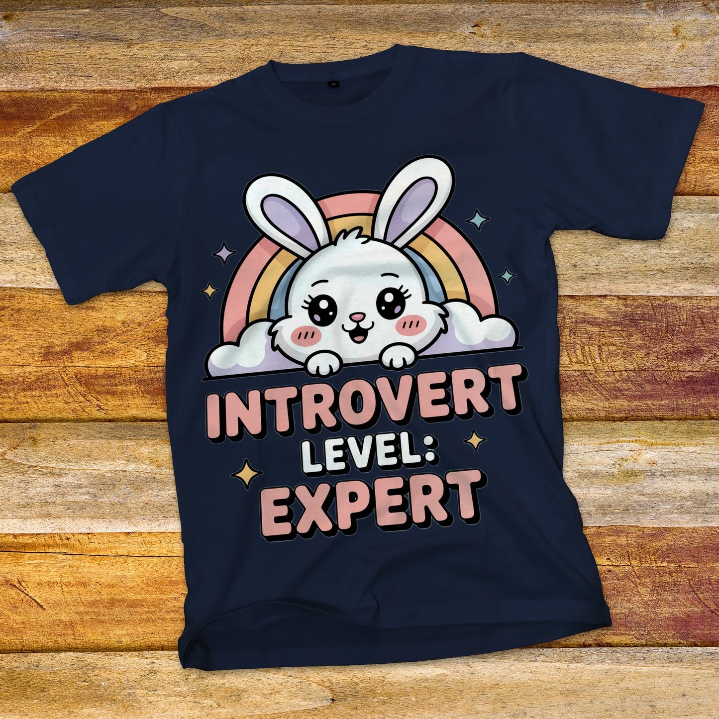 Introvert Level Expert T-Shirt