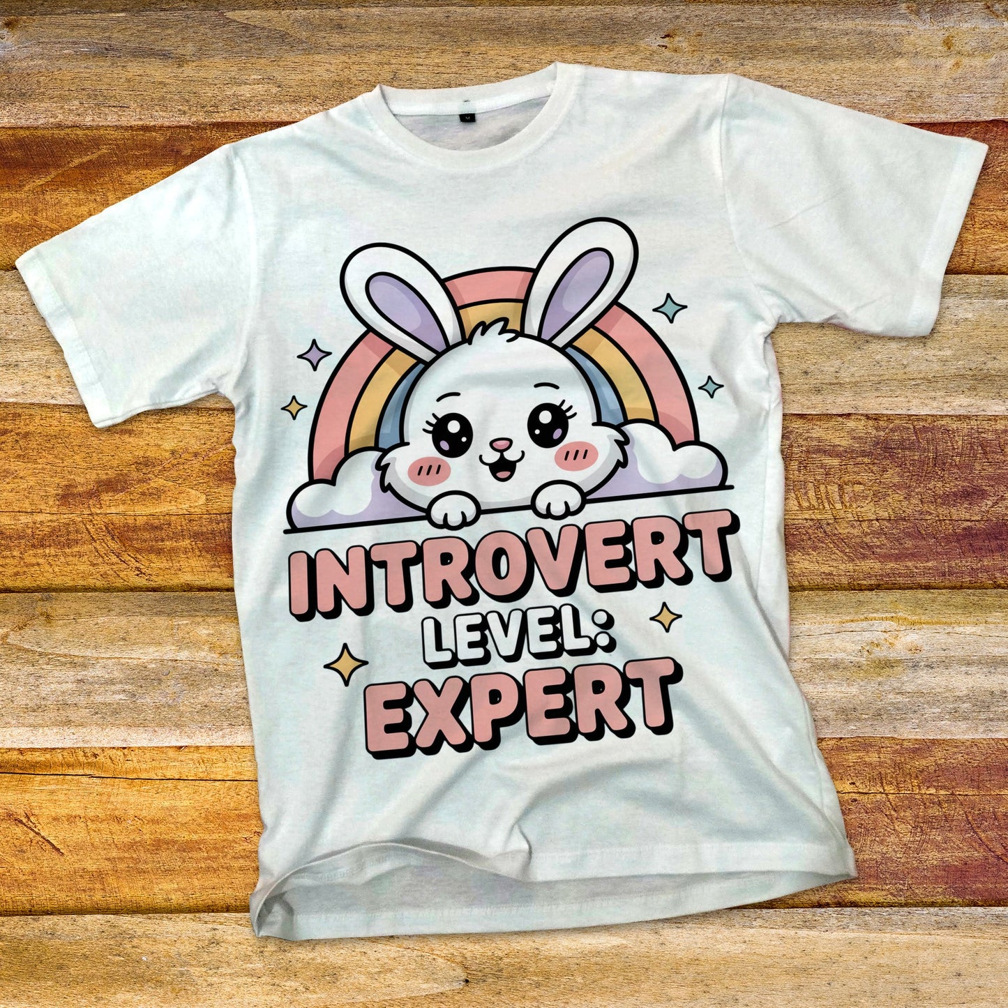 Introvert Level Expert T-Shirt